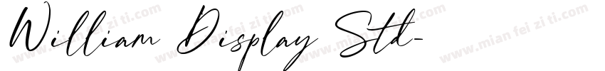 William Display Std字体转换